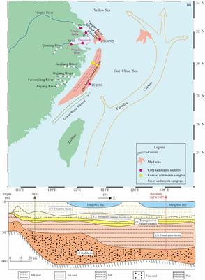 Geochemical behavior of C, N, and S in sediments of Hangzhou Bay, Southeastern China: implications for the study of paleoclimate and sea-level changes